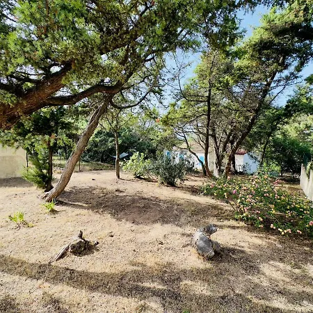 Casa vacanze Bilocale A Due Passi Dalla Piazza Di